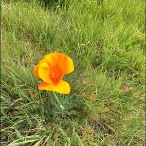 Meet your Posher, Alexandra